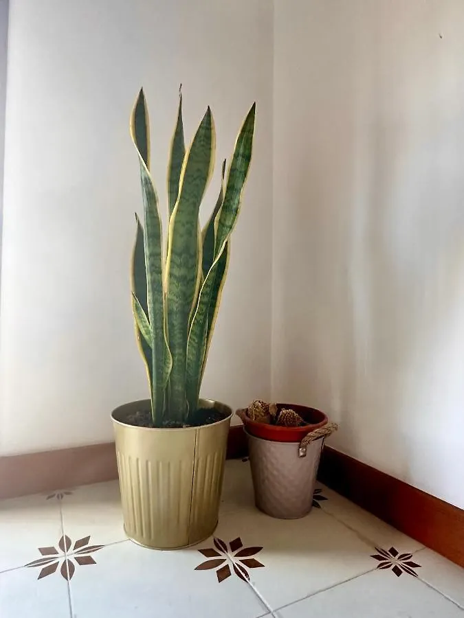 En Pleno Centro, Super Coqueto Y Perfecto Para 2, Malaga Apartment